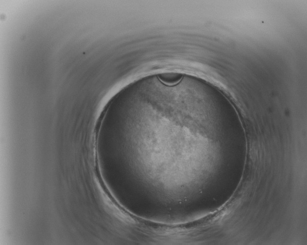 X0000062871522200601201741