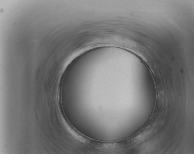 X0000062871523200601201741