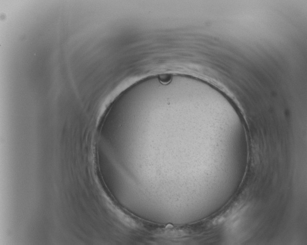 X0000062871525200601201741