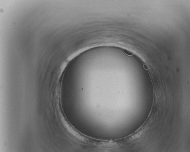 X0000062871526200601201741