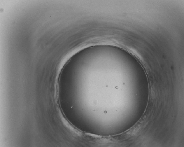 X0000062871528200601201741