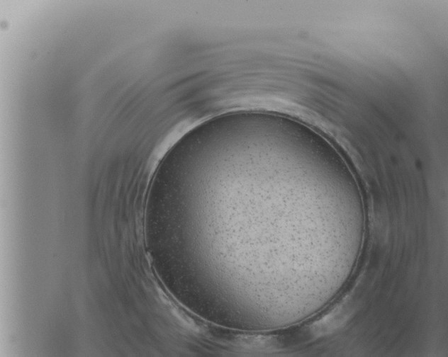 X0000062871529200601201741