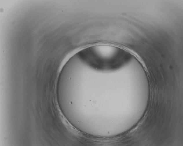 X0000062871530200601201741