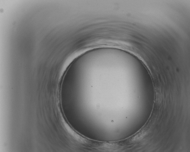 X0000062871531200601201741