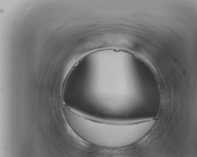 X0000062871532200601201741