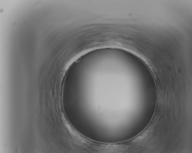 X0000062871534200601201741