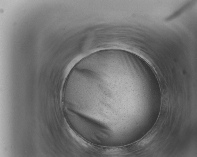 X0000062871535200601201741