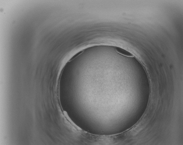 X0000062871536200601201741