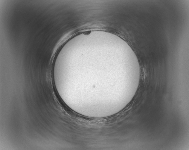 X0000062870004200601271608