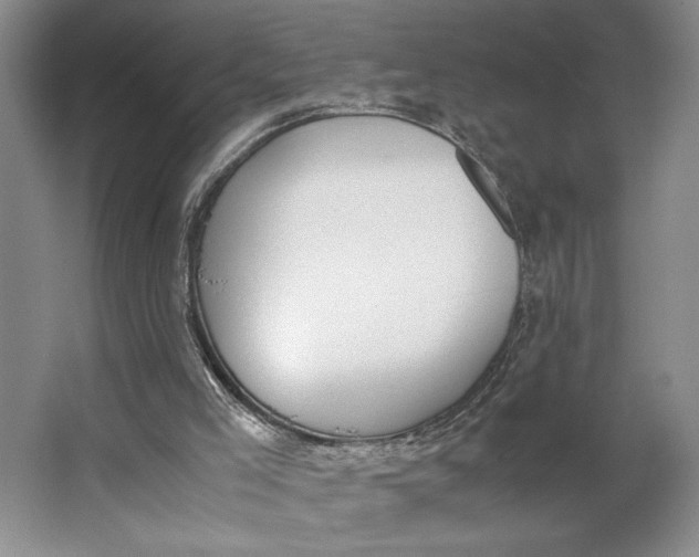 X0000062870005200601271608