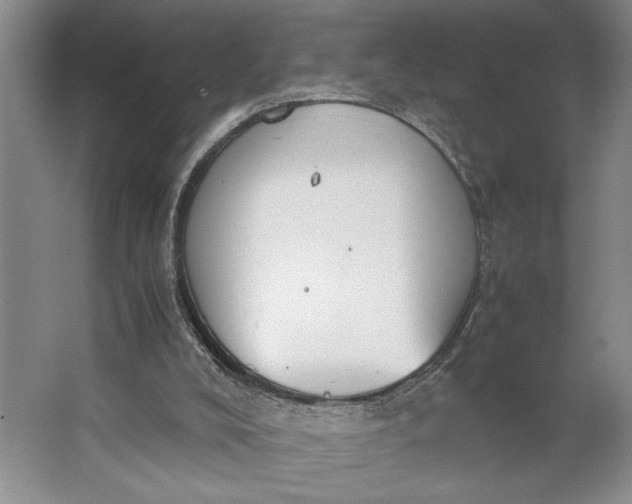 X0000062870008200601271608