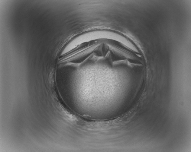 X0000062870009200601271608