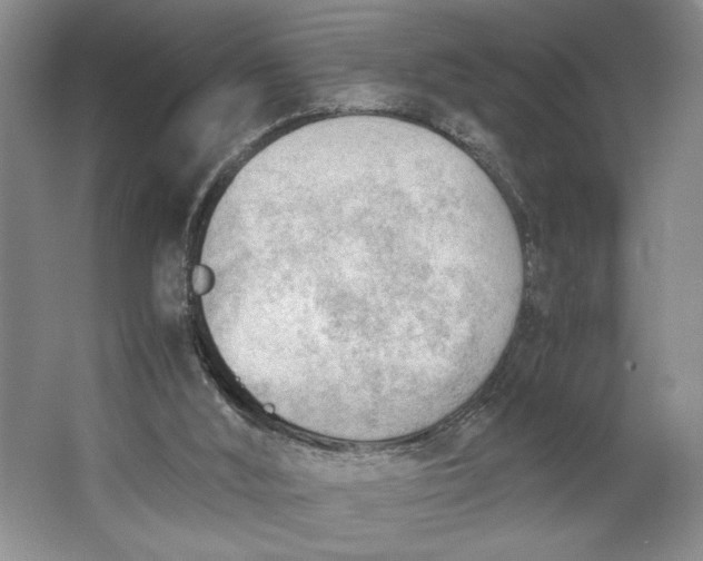 X0000062870012200601271608