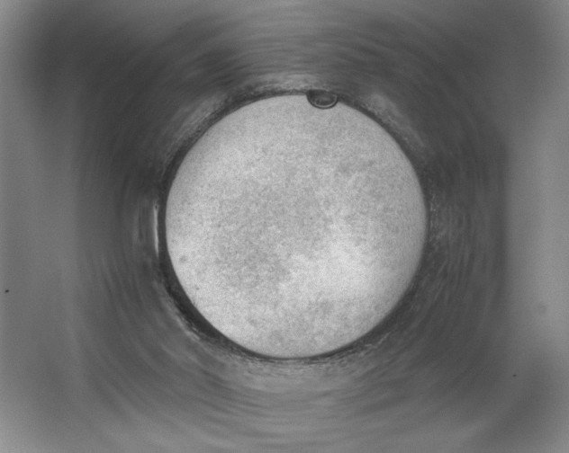 X0000062870014200601271608