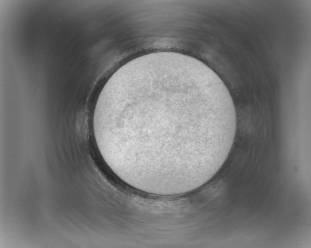 X0000062870016200601271607