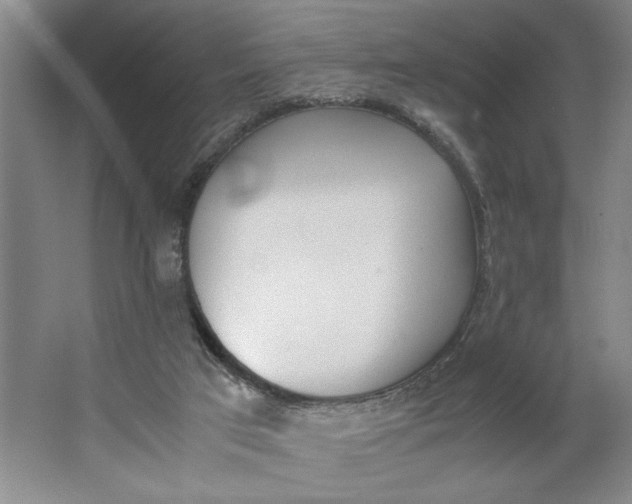 X0000062870017200601271607