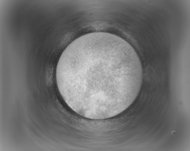 X0000062870018200601271607