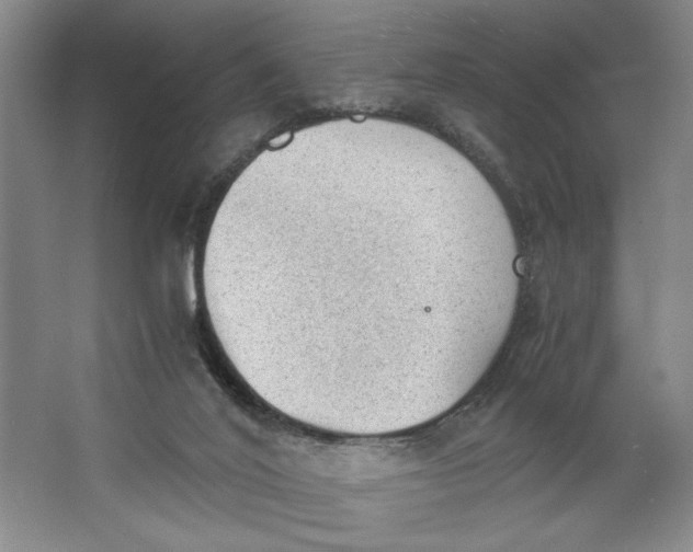 X0000062870020200601271607