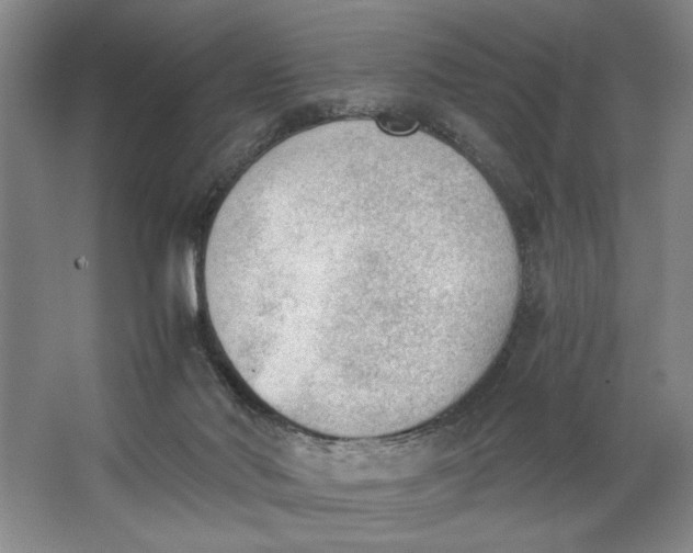 X0000062870022200601271607