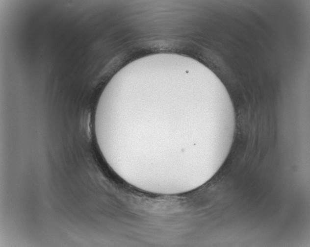 X0000062870024200601271607