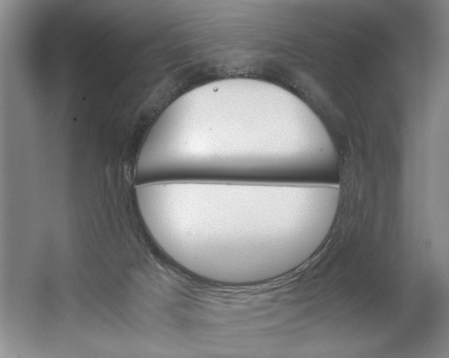 X0000062870025200601271607