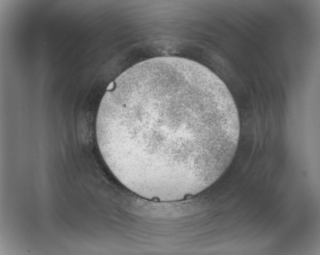 X0000062870030200601271607