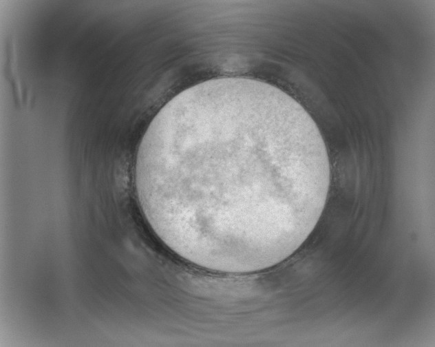 X0000062870032200601271607