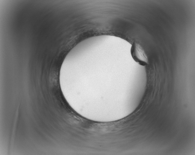 X0000062870033200601271607