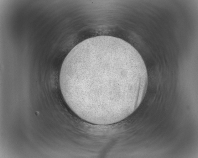 X0000062870034200601271607