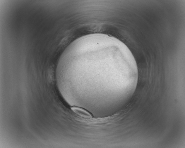 X0000062870035200601271607