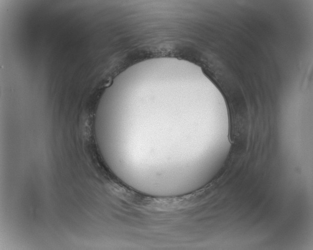 X0000062870037200601271607