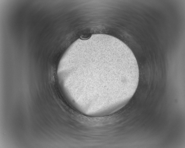 X0000062870038200601271607