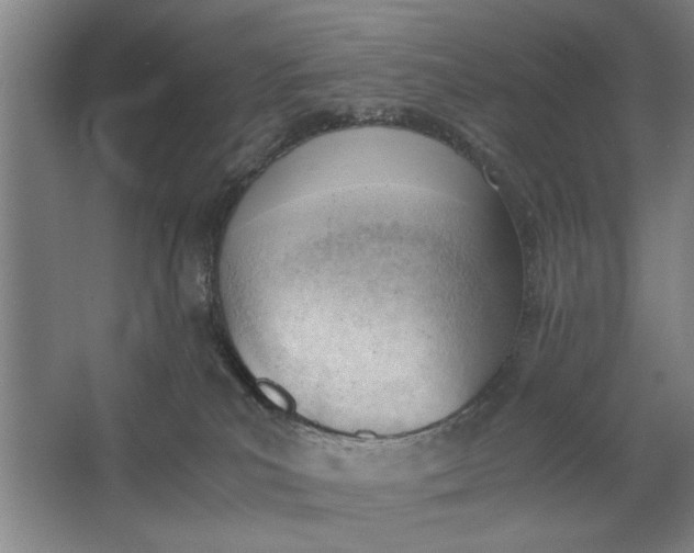 X0000062870039200601271607