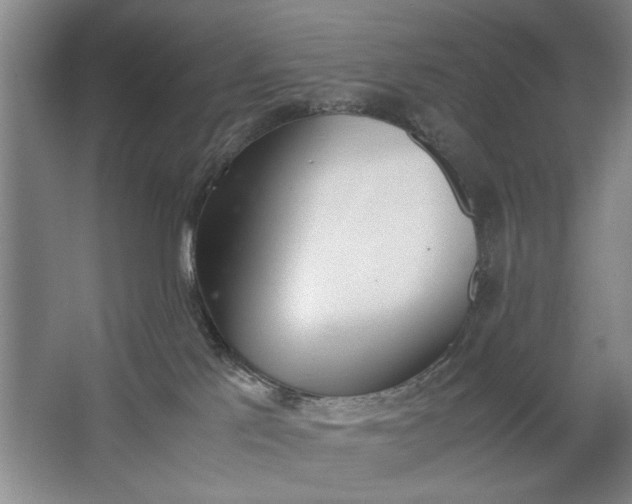 X0000062870041200601271607