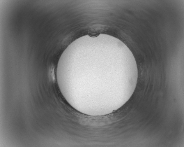 X0000062870042200601271607