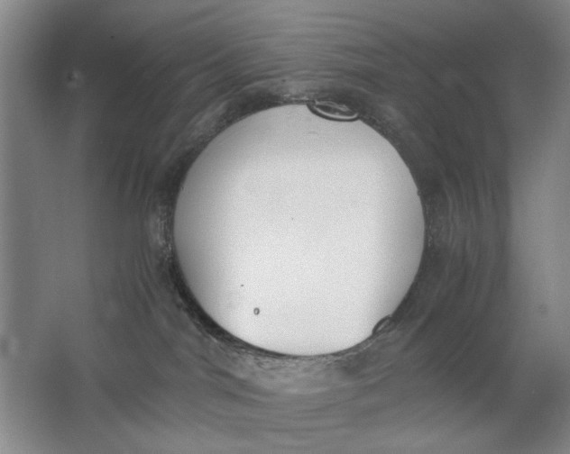 X0000062870044200601271607