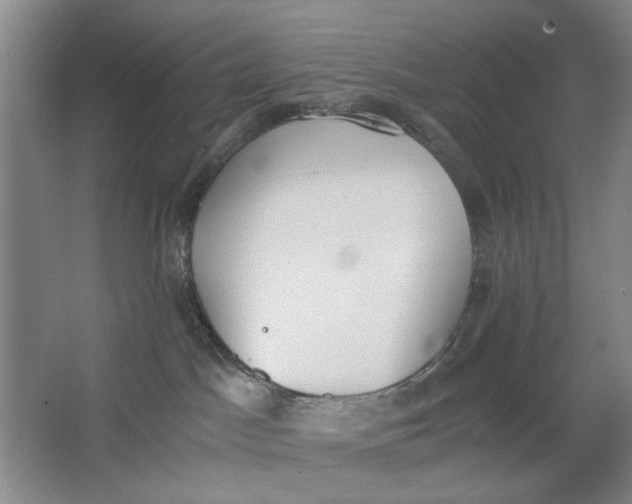 X0000062870045200601271607