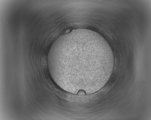 X0000062870048200601271607