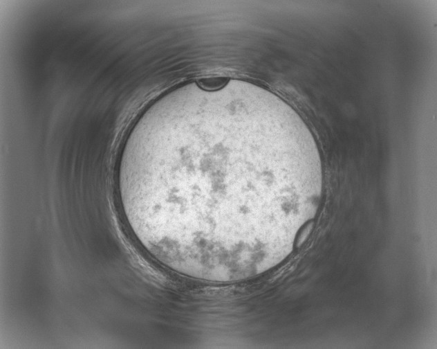 X0000062870049200601271606