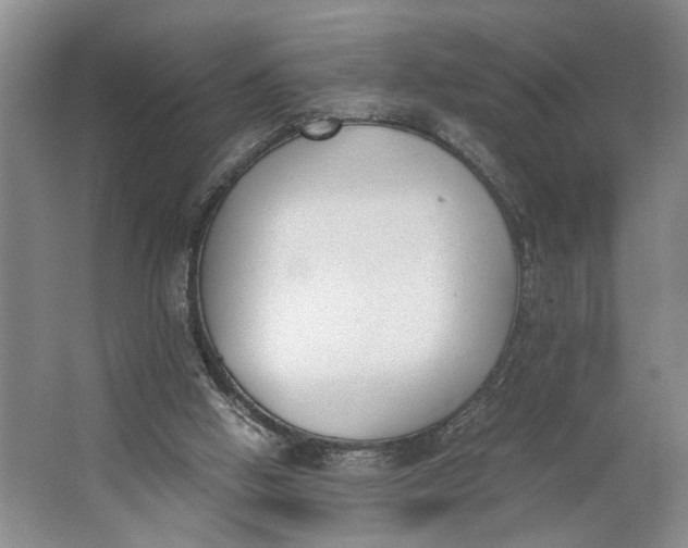 X0000062870058200601271606