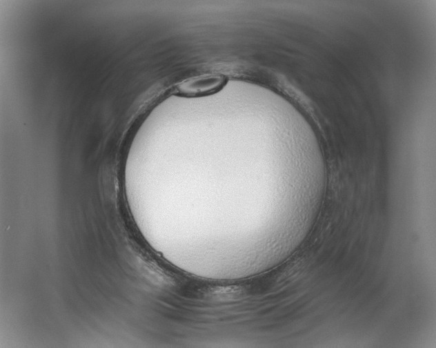 X0000062870059200601271606