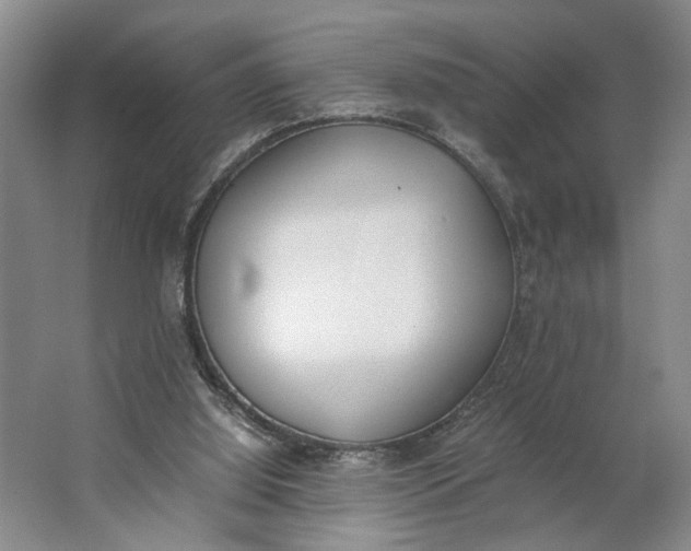 X0000062870060200601271606