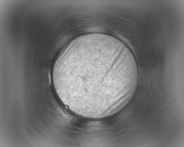 X0000062870061200601271606