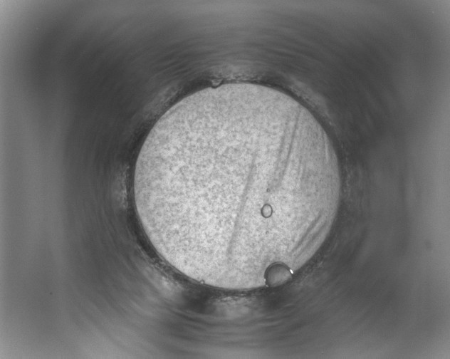 X0000062870065200601271606