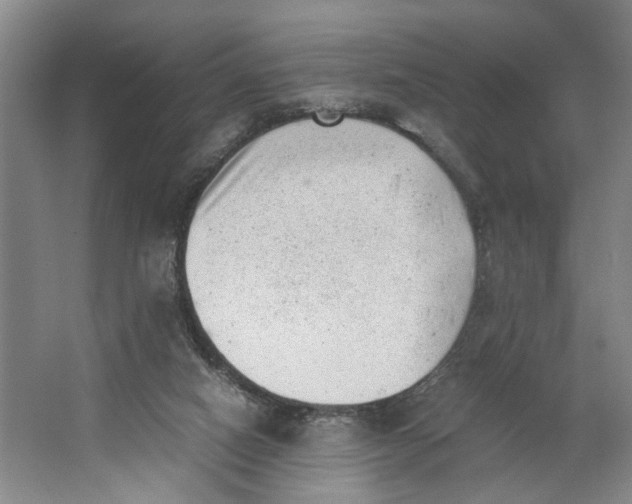 X0000062870066200601271606