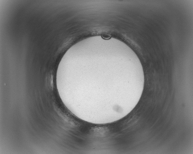 X0000062870067200601271606