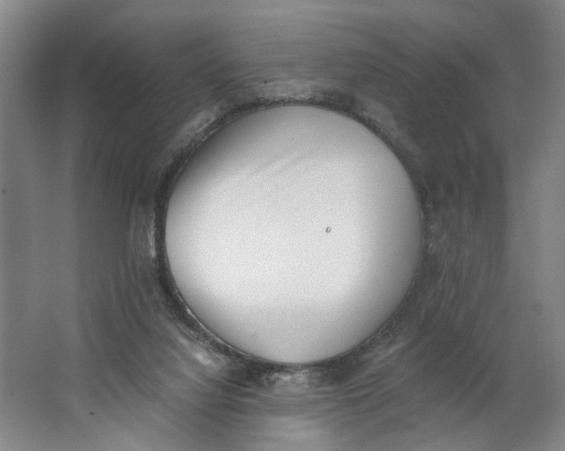 X0000062870068200601271606