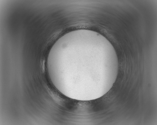 X0000062870070200601271606