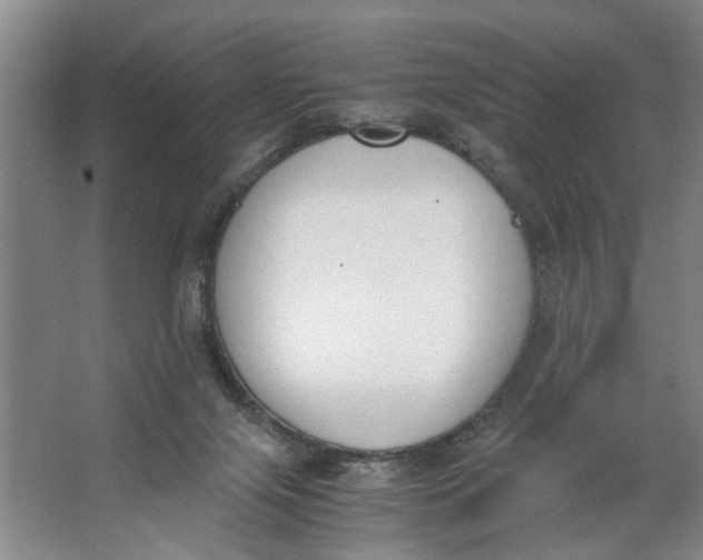 X0000062870071200601271606