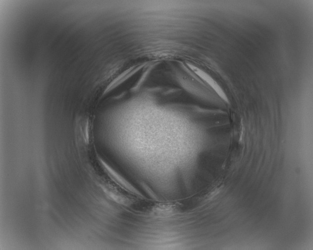 X0000062870076200601271607